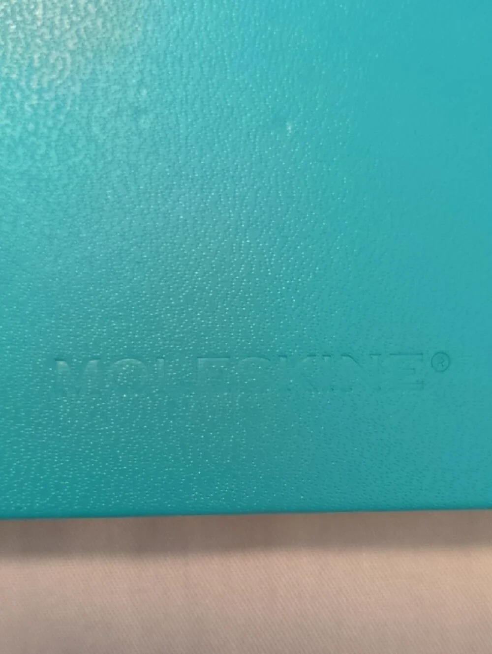 Moleskine Turquoise Hardcover Notebook